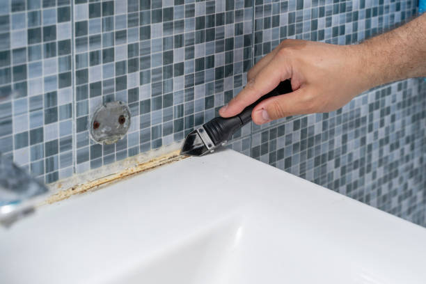 Best Kitchen Mold Remediation in Church Point, LA